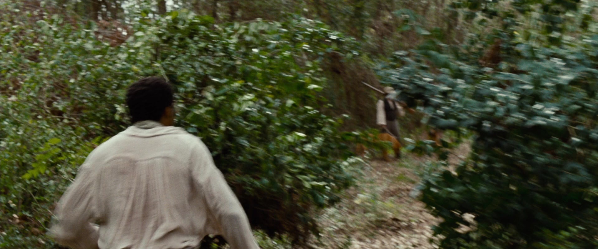 12 Years a Slave (2013), wide, 2.40:1 — film still