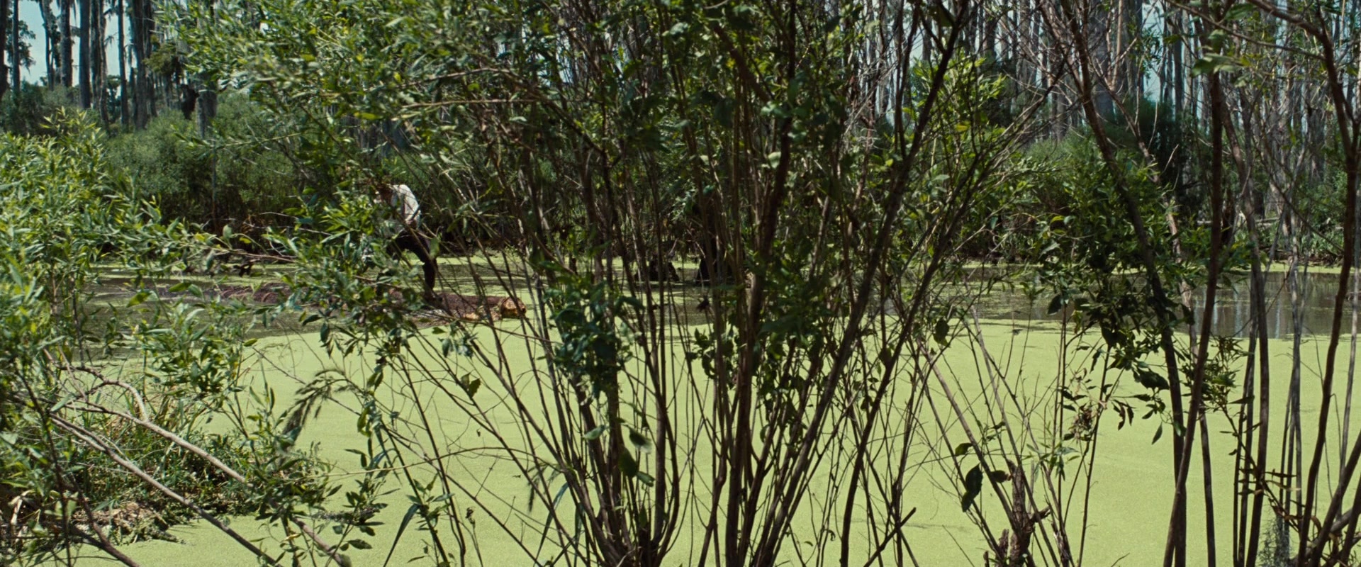 12 Years a Slave (2013), unknown, 2.40:1 — film still