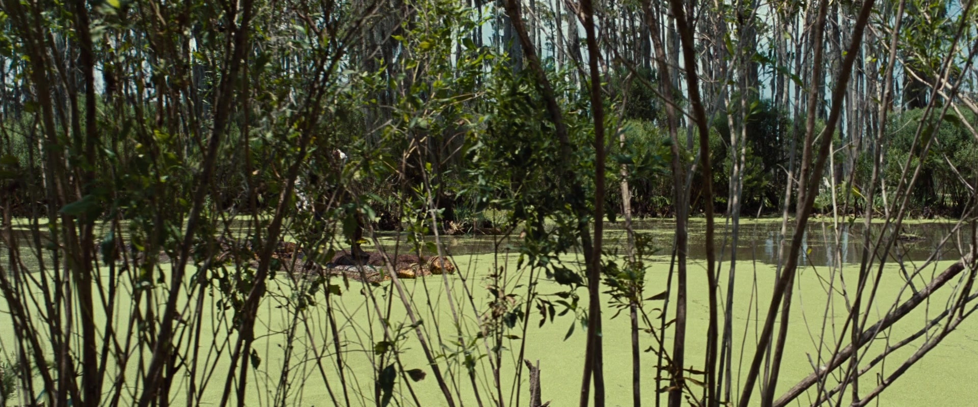 12 Years a Slave (2013), wide, 2.40:1 — film still