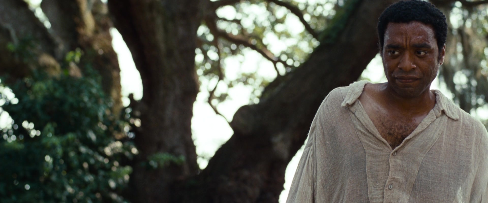 12 Years a Slave (2013), wide, 2.40:1 — film still