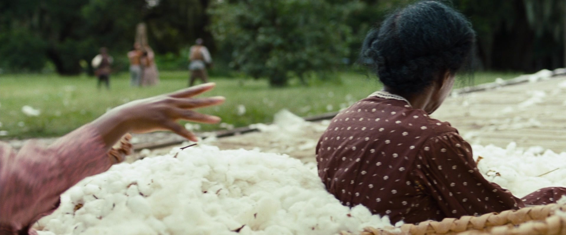 12 Years a Slave (2013), wide, 2.40:1 — film still