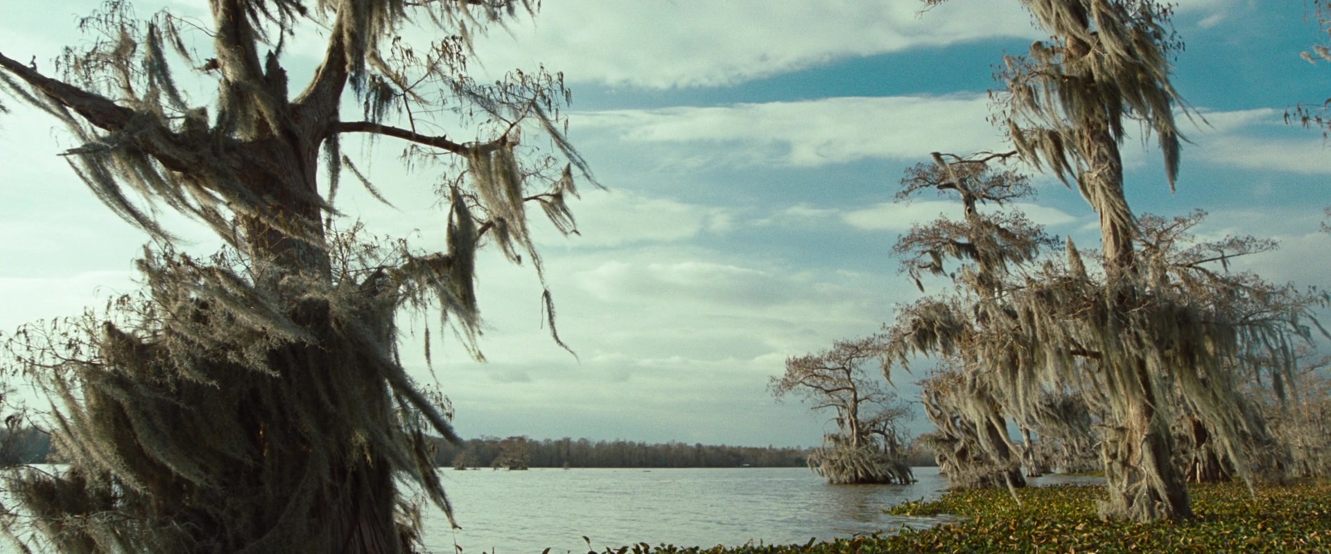 12 Years a Slave (2013), unknown, 2.40:1 — film still