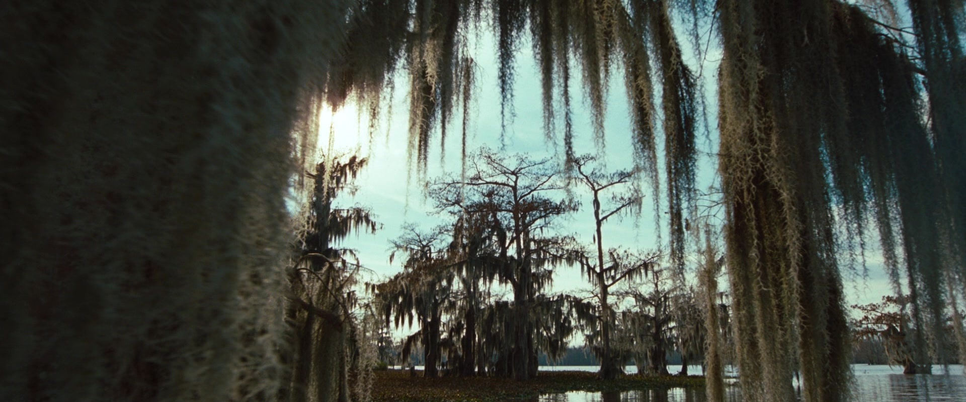 12 Years a Slave (2013), wide, 2.40:1 — film still