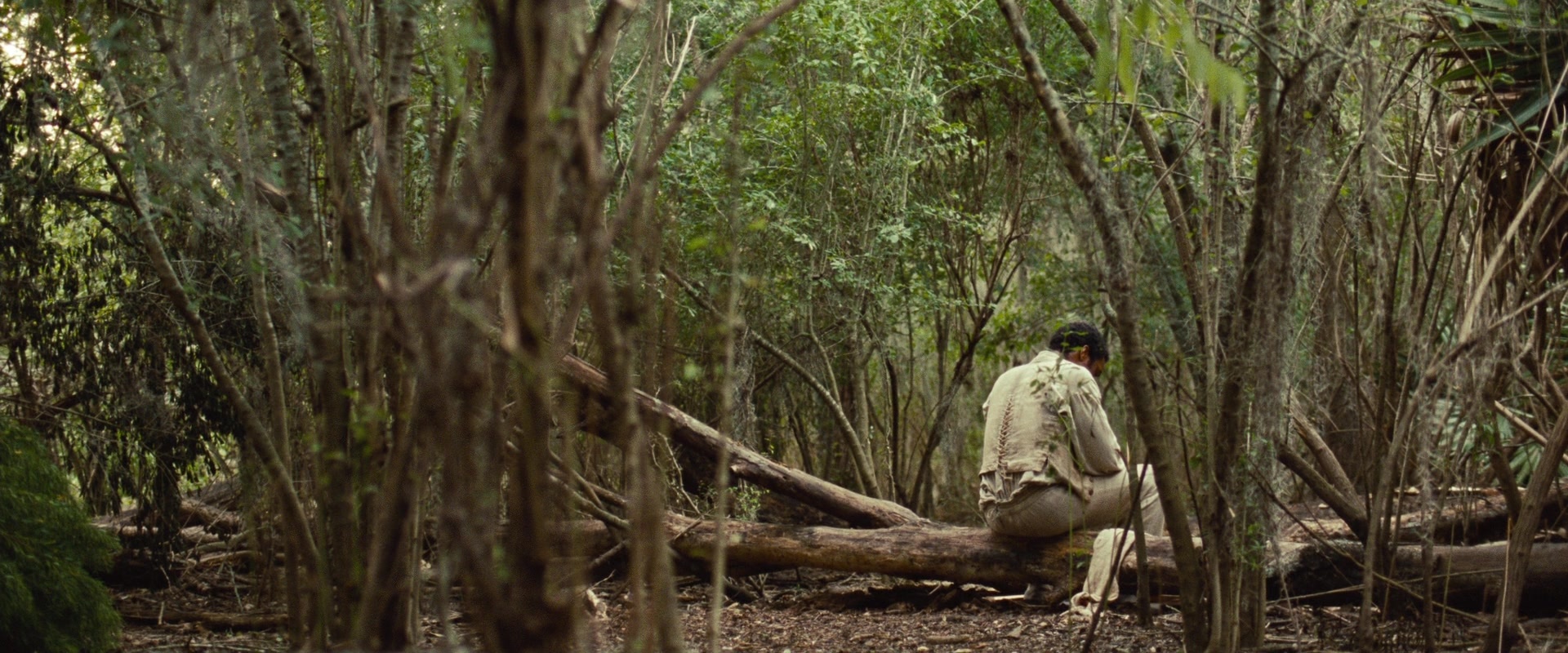 12 Years a Slave (2013), wide, 2.40:1 — film still
