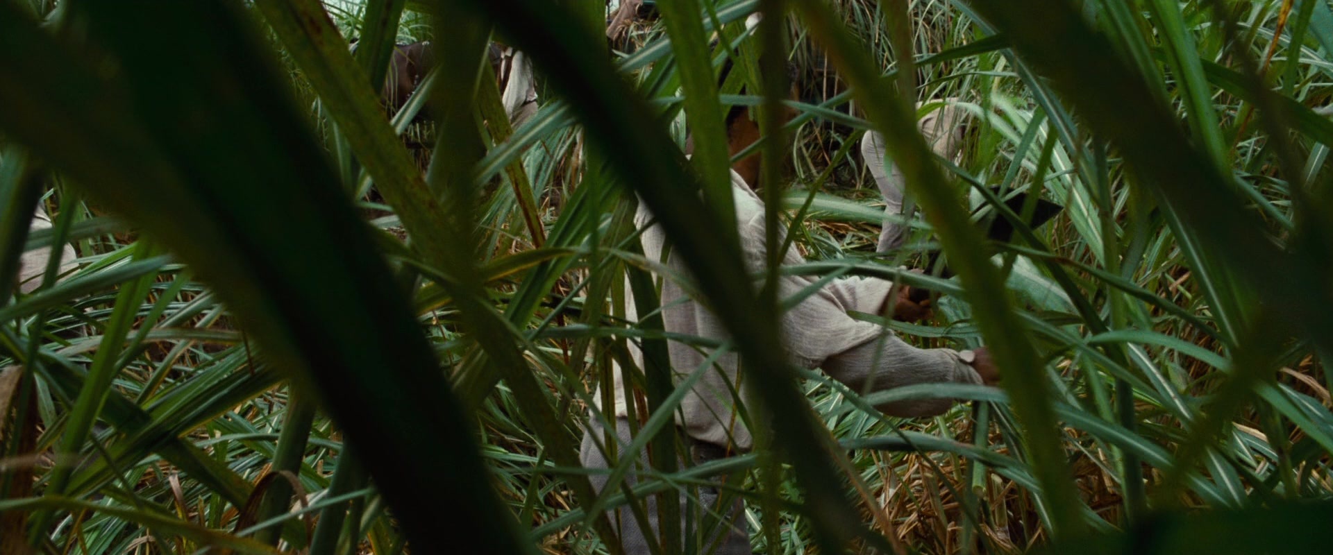 12 Years a Slave (2013), wide, 2.40:1 — film still