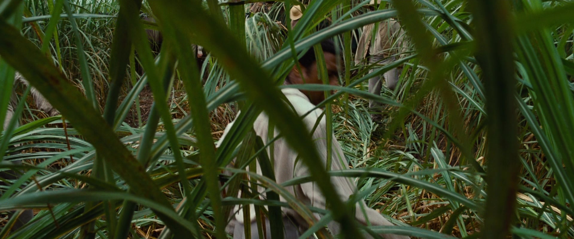 12 Years a Slave (2013), wide, 2.40:1 — film still
