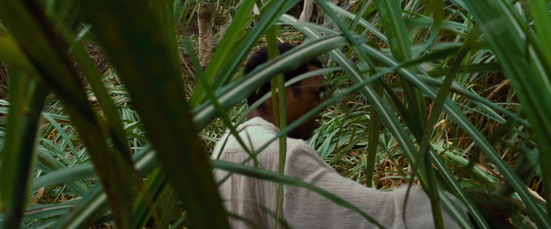 12 Years a Slave (2013), wide, 2.40:1 — film still