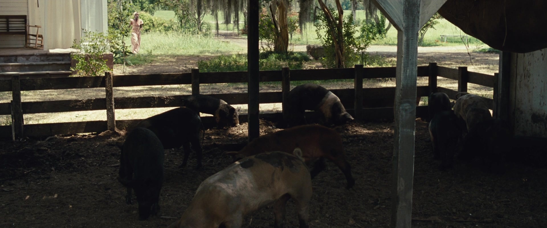 12 Years a Slave (2013), wide, 2.40:1 — film still