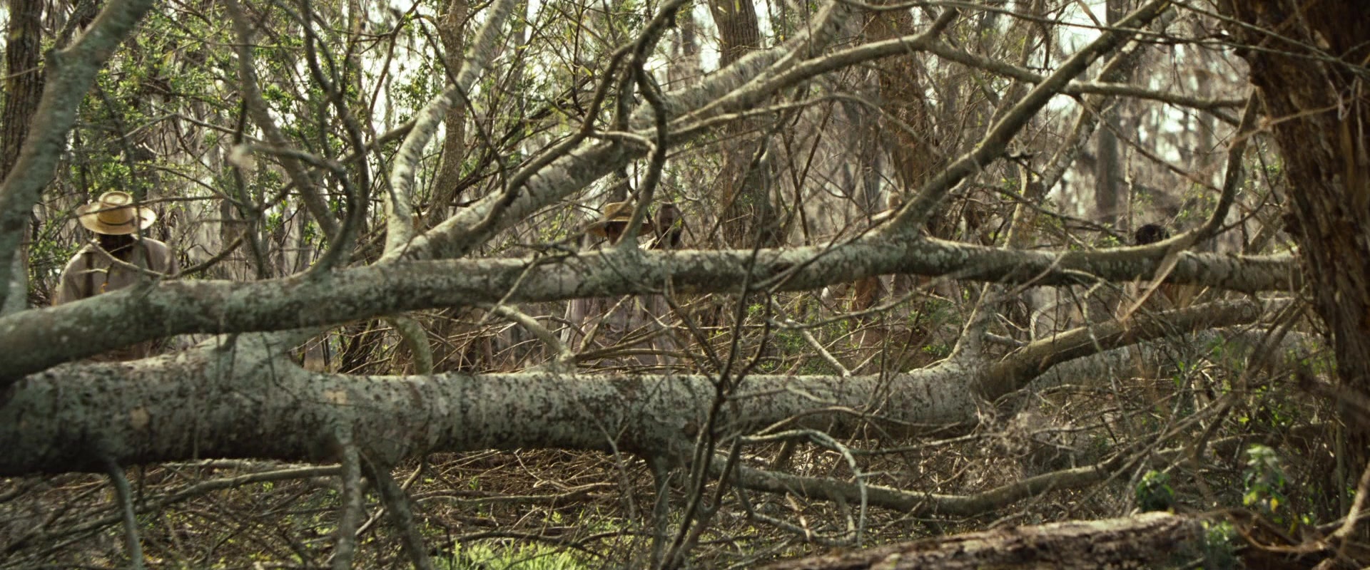12 Years a Slave (2013), wide, 2.40:1 — film still