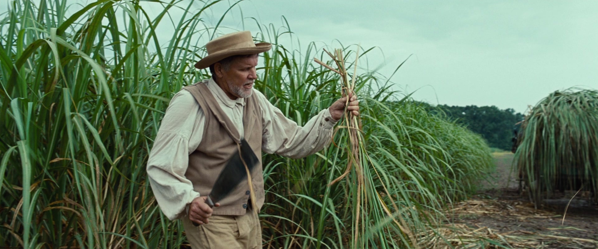 12 Years a Slave (2013), wide, 2.40:1 — film still