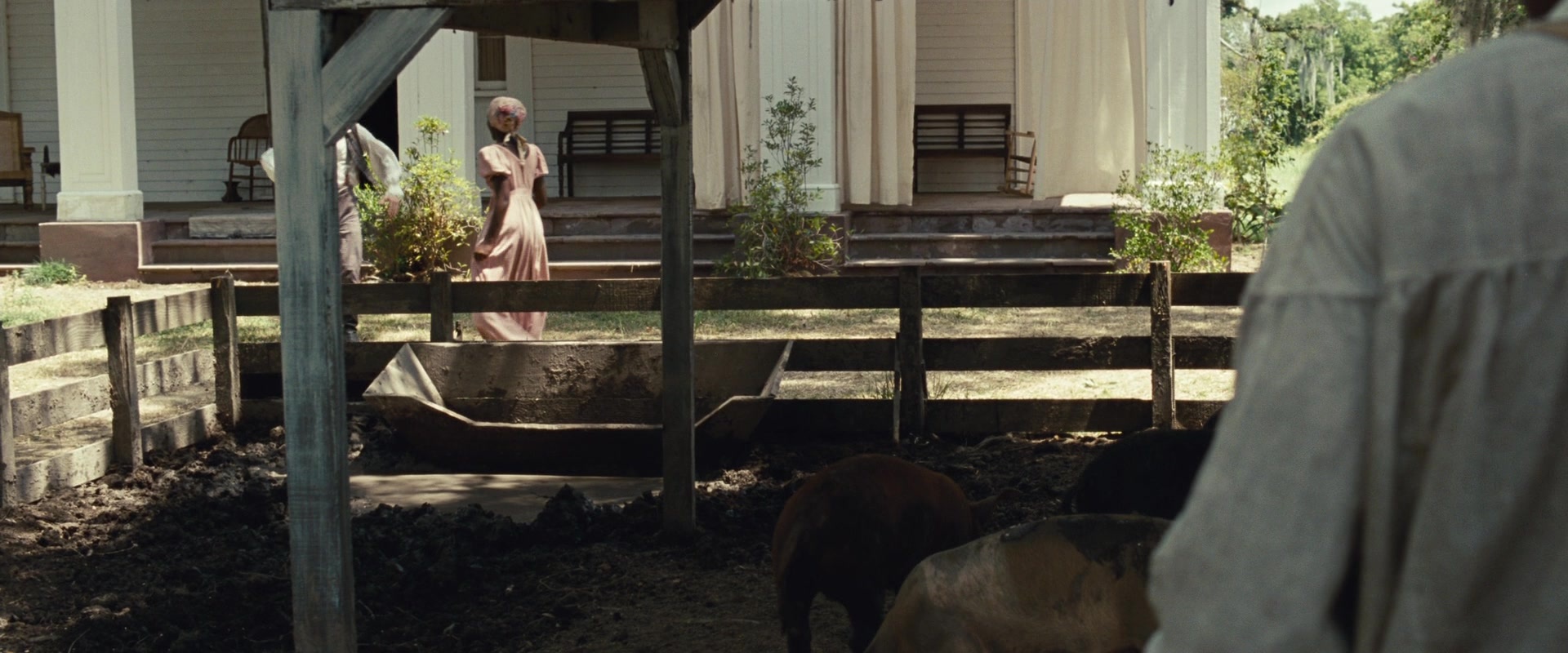 12 Years a Slave (2013), wide, 2.40:1 — film still