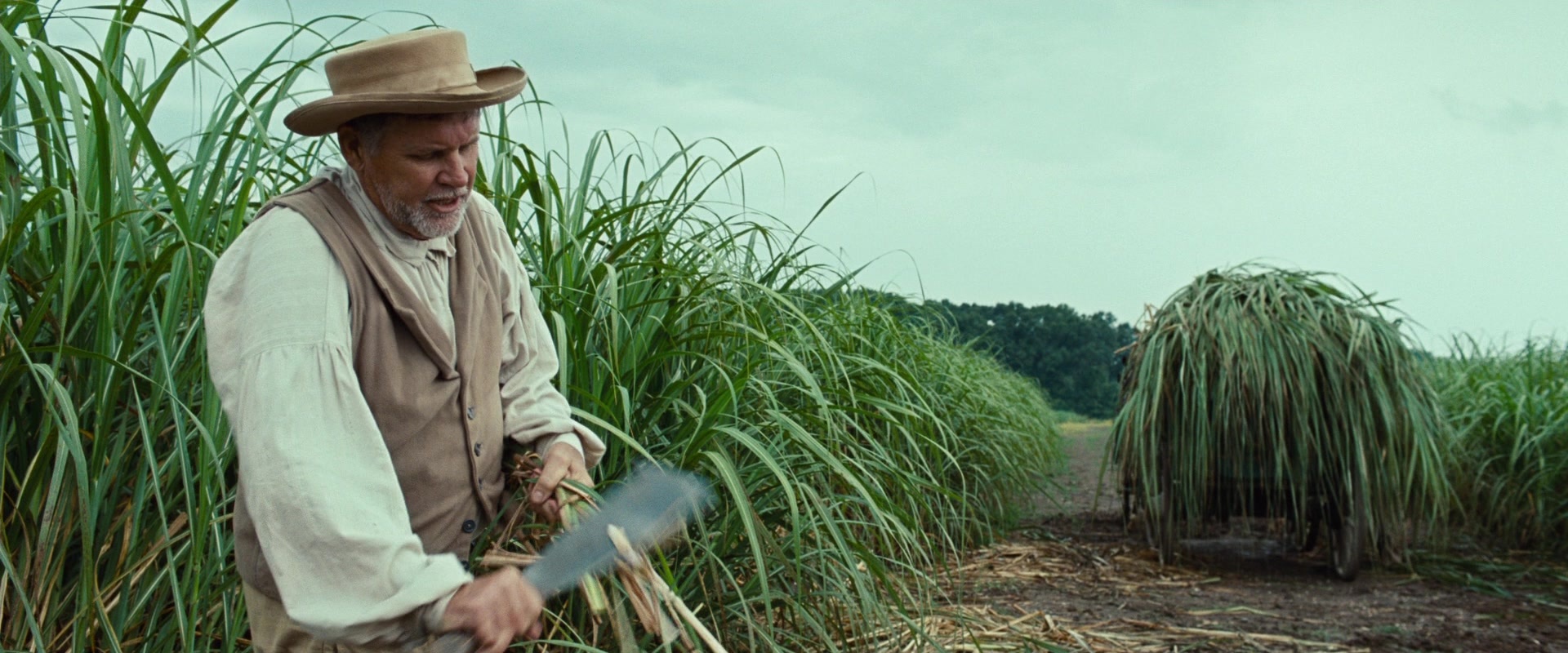 12 Years a Slave (2013), wide, 2.40:1 — film still