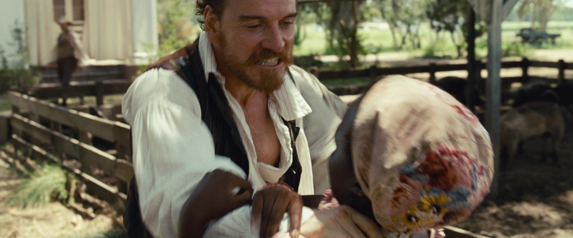 12 Years a Slave (2013), wide, 2.40:1 — film still