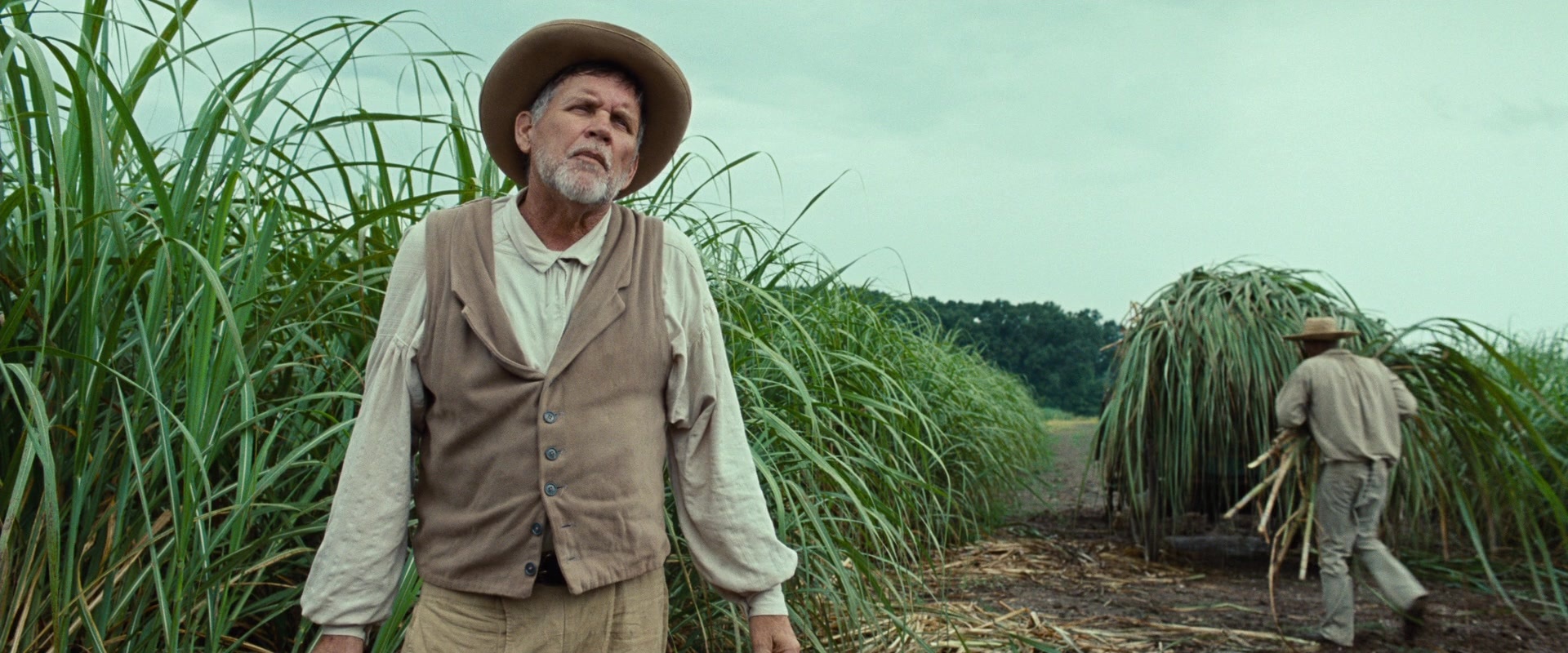 12 Years a Slave (2013), wide, 2.40:1 — film still