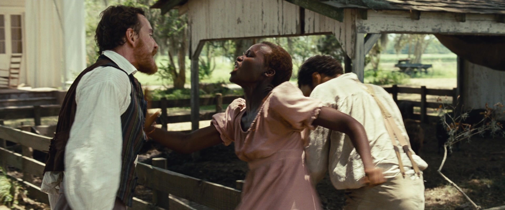 12 Years a Slave (2013), wide, 2.40:1 — film still