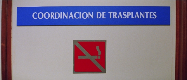 Frame from Todo sobre mi madre — action, show, subject