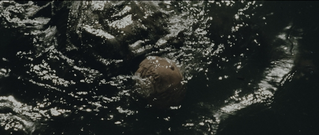 Wide shot frame from Perfume: The Story of a Murderer — animal, water