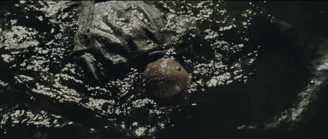 Wide shot frame from Perfume: The Story of a Murderer — animal, water
