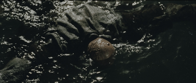 Wide shot frame from Perfume: The Story of a Murderer — animal, water