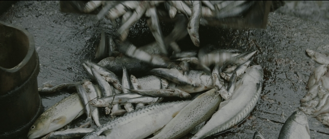 Wide shot frame from Perfume: The Story of a Murderer — water, fish
