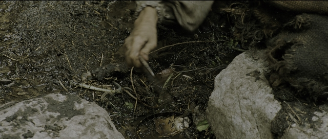 Wide shot frame from Perfume: The Story of a Murderer — animal, hand, shirt