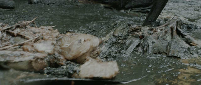Wide shot frame from Perfume: The Story of a Murderer — animal, water