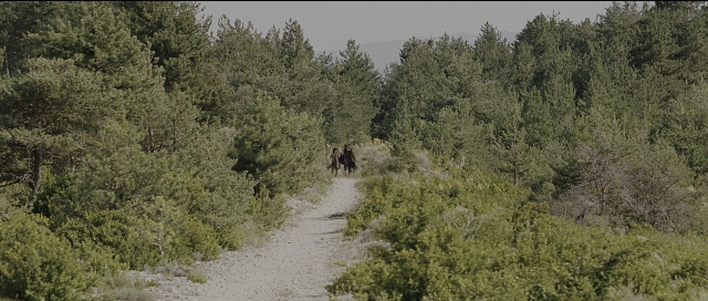 Wide shot frame from Perfume: The Story of a Murderer — walking, horse, forest