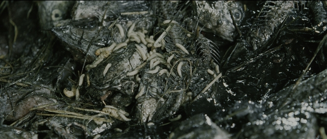 Wide shot frame from Perfume: The Story of a Murderer — animal