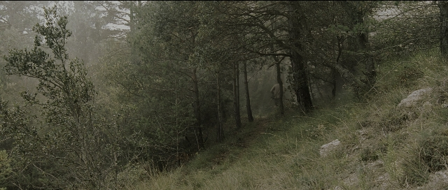 Wide shot frame from Perfume: The Story of a Murderer — walking, forest, person