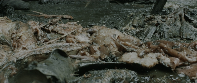 Wide shot frame from Perfume: The Story of a Murderer — animal