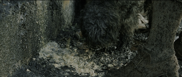Wide shot frame from Perfume: The Story of a Murderer — standing, bed, animal