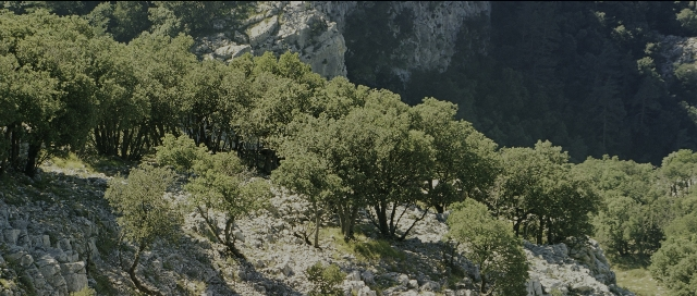 Wide shot frame from Perfume: The Story of a Murderer — action, show, horse