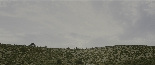 Wide shot frame from Perfume: The Story of a Murderer — people, fly, kite