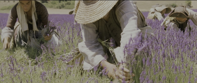 Wide shot frame from Perfume: The Story of a Murderer — lavender, person, human face
