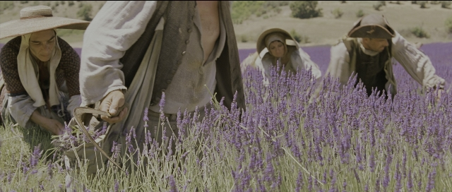 Wide shot frame from Perfume: The Story of a Murderer — standing, lavender, person