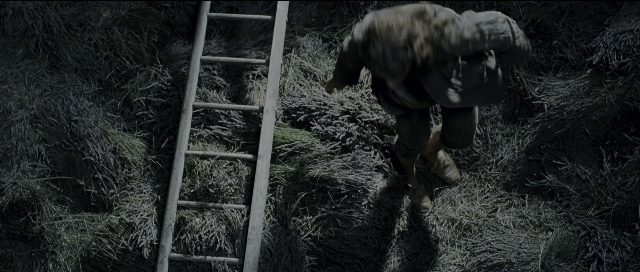 Wide shot frame from Perfume: The Story of a Murderer — walking, night, ladder