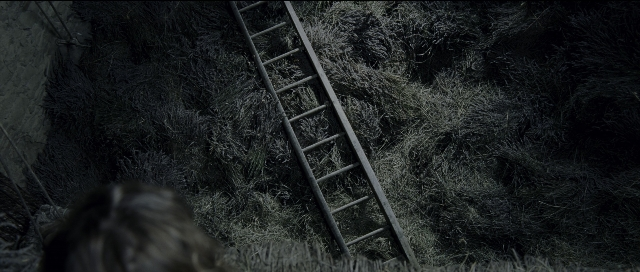 Wide shot frame from Perfume: The Story of a Murderer — standing, face, ladder