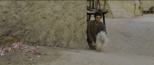 Wide shot frame from Perfume: The Story of a Murderer — walking, street, dog