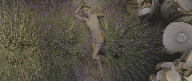 Wide shot frame from Perfume: The Story of a Murderer — bird, lavender, person