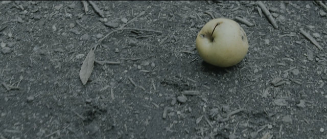 Wide shot frame from Perfume: The Story of a Murderer — bed, grapefruit