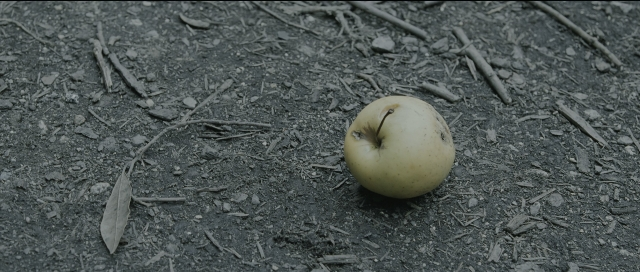 Wide shot frame from Perfume: The Story of a Murderer — bed, grapefruit