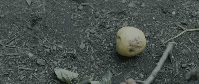 Wide shot frame from Perfume: The Story of a Murderer — bed, grapefruit
