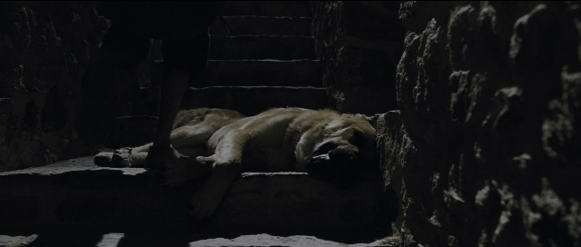 Wide shot frame from Perfume: The Story of a Murderer — animal