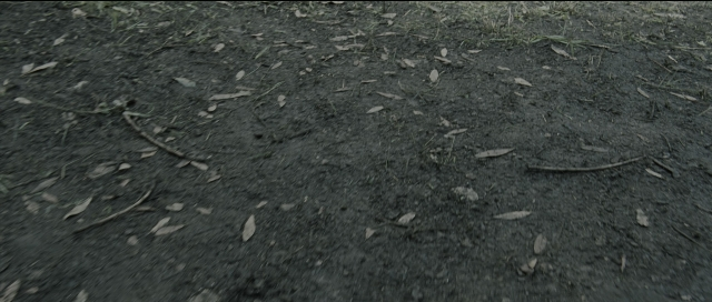 Wide shot frame from Perfume: The Story of a Murderer — animal