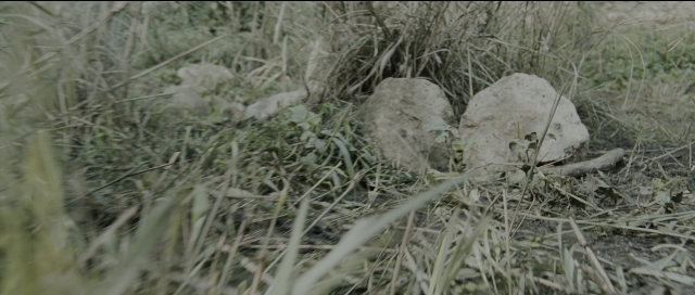 Wide shot frame from Perfume: The Story of a Murderer — animal