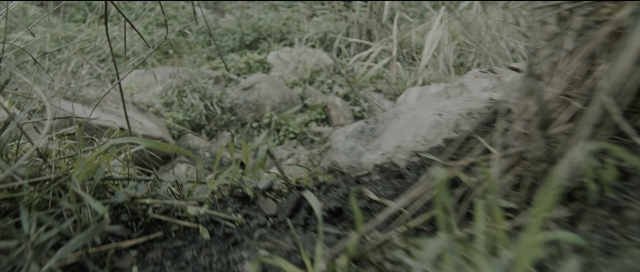 Wide shot frame from Perfume: The Story of a Murderer — animal, running