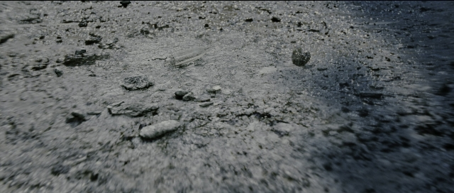 Wide shot frame from Perfume: The Story of a Murderer — walking, animal, person