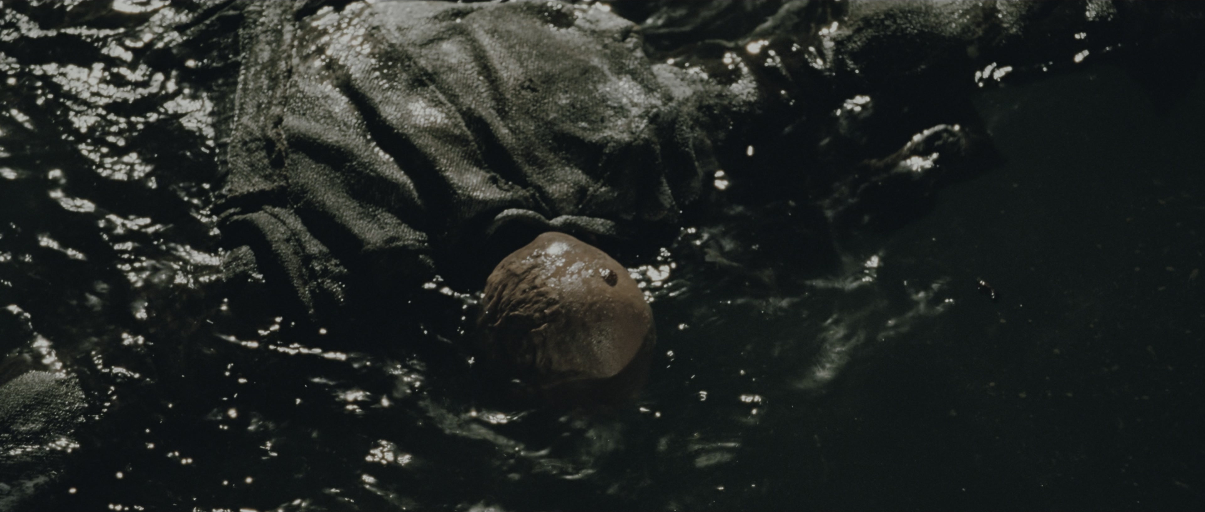 Perfume: The Story of a Murderer (2006), wide, 2.35:1 — film still