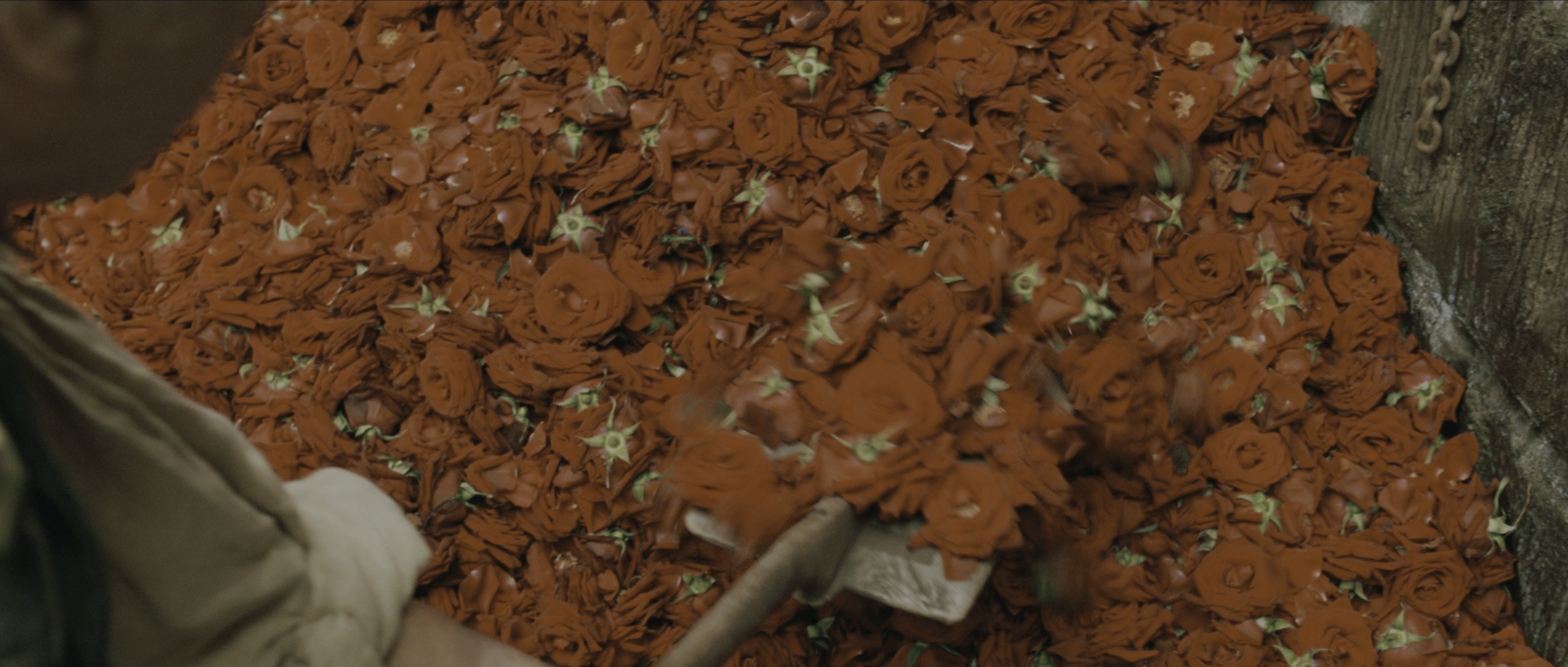 Perfume: The Story of a Murderer (2006), wide, 2.35:1 — film still