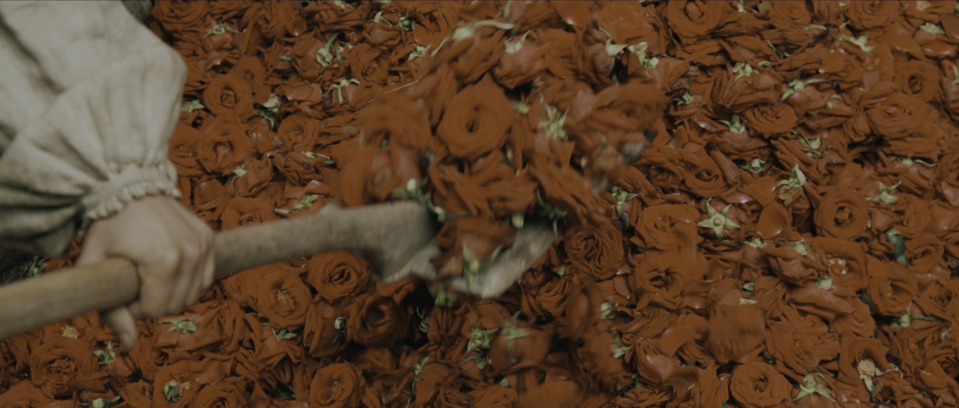Perfume: The Story of a Murderer (2006), wide, 2.35:1 — film still